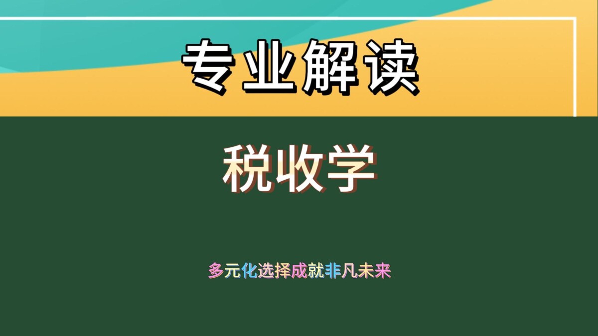 揭秘税收学：从税务局到多元领域的精彩